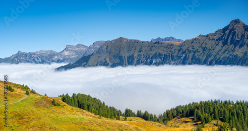 Mountain range through the clouds. Field and forest. Landscape in the summert...