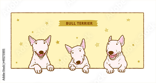 Cartoon bull terrier illustration background frame	