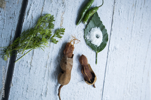 Some raw tamarind with tamarind leaf photo