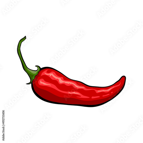 drawing of red peppers It's a vector image.