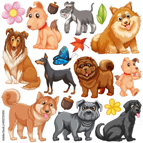 Different types of dogs