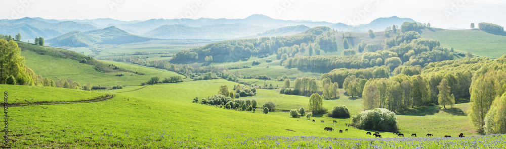 Panoramic view of green hills and mountains. Spring rural landscape. Panoramic view of green hills and mountains. Spring rural landscape.