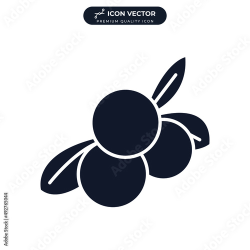acai berry icon symbol template for graphic and web design collection logo vector illustration