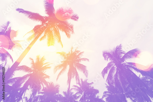 Tropical palm tree with sun light on sunset sky and cloud abstract background. © tonktiti