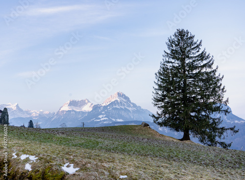 Flumserberg  Skiers  snowboarders  carvers  families all enjoy their time on the ski runs of winter sports resort located directly above Lake Walen. 65 km of perfectly groomed slopes invite you.