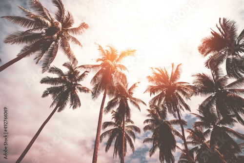 Tropical palm tree with sun light on sunset sky and cloud abstract background.