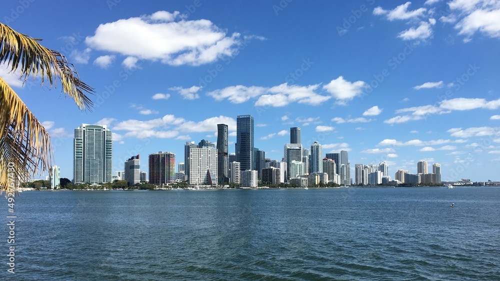 Fototapeta premium Skyline von Miami mit seitlichem Palmwedel