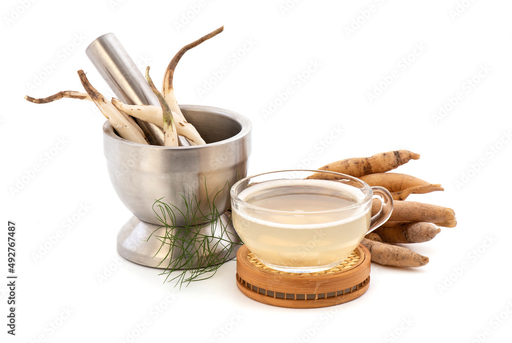 Shatavari or Asparagus racemosus roots and juice isolated on white background. Shatavari or Asparagus racemosus roots and juice isolated on white background.