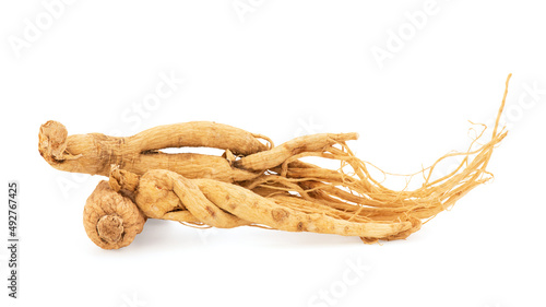 Ginseng or Panax ginseng isolated on white background with clipping path. photo
