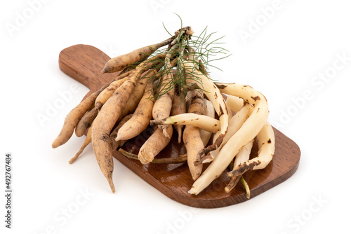 Shatavari or Asparagus racemosus roots isolated on white background. photo