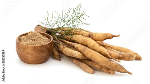 Shatavari or Asparagus racemosus roots and powder isolated on white background. photo