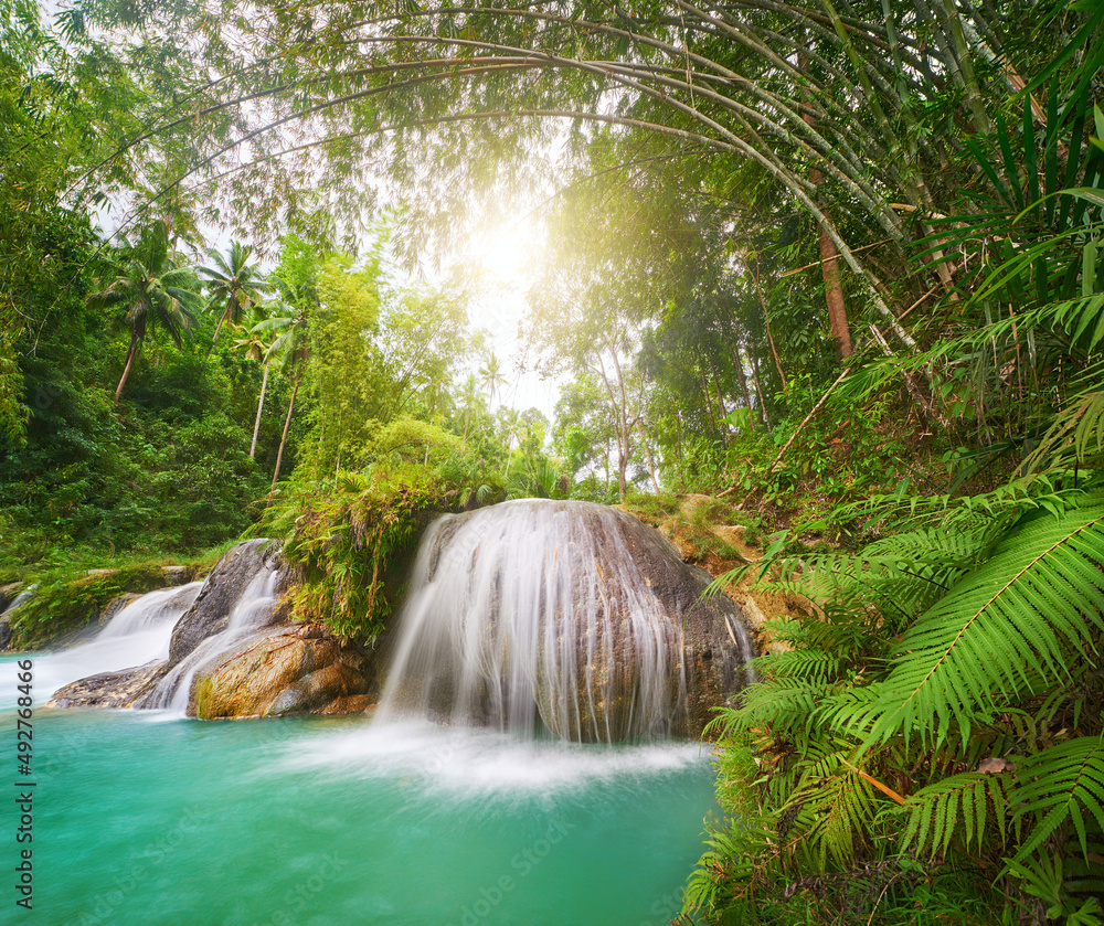 Beautiful forest waterfall and bamboo trees in Siquijor Island National Park. Philippines