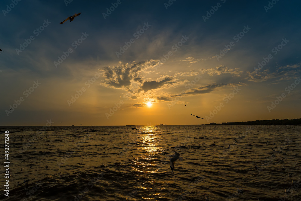 Flock Seagull are Flying on sunset background ,Bang poo ,Samutpragan, Thailand .