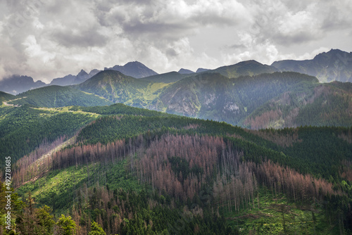 View of Tatra Mountains near Zakopane. Poland