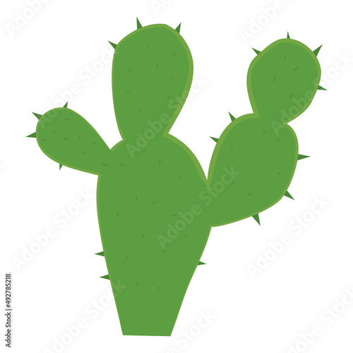 vector illustration, green cactus, with thorns, isolated on white background, cute cartoon style photo