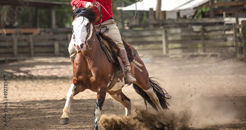 Closeup of cowboy and his horse.