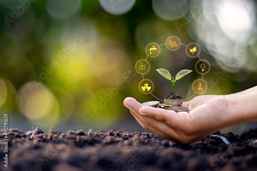 Tree growing from coins in human hand and blurred natural green background, finance and money management concept for SME.