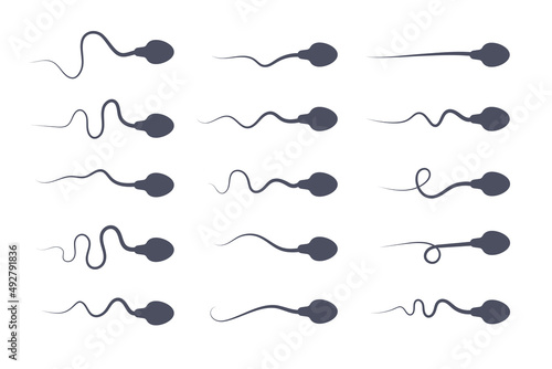 male sperm silhouette vector through a microscope