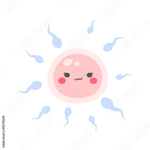 Sperm runs into the female ovary to fertilize a woman's pregnancy.