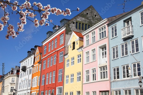 Photography Copenhagen city Nyhavn street. Springtime blossoms in Denmark.