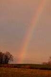 rainbow over a field in late sunset