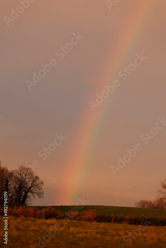 rainbow over a field in late sunset
