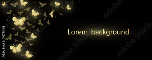 Fotografia, Obraz Banner with decorative shining golden butterflies on a black background
