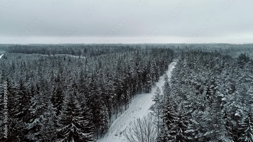 Car drives on snow road through forested area; winter drone tracking shot Car drives on snow road through forested area; winter drone tracking shot