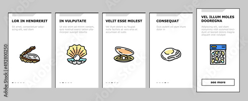 Clam Marine Sea Farm Nutrition Onboarding Mobile App Page Screen Vector. Ocean Quahog And Surf Clam, Pearl Oyster Shell And Mussel, Donax Pacific Geoduck . Seafood Delicious Nutrient Illustrations