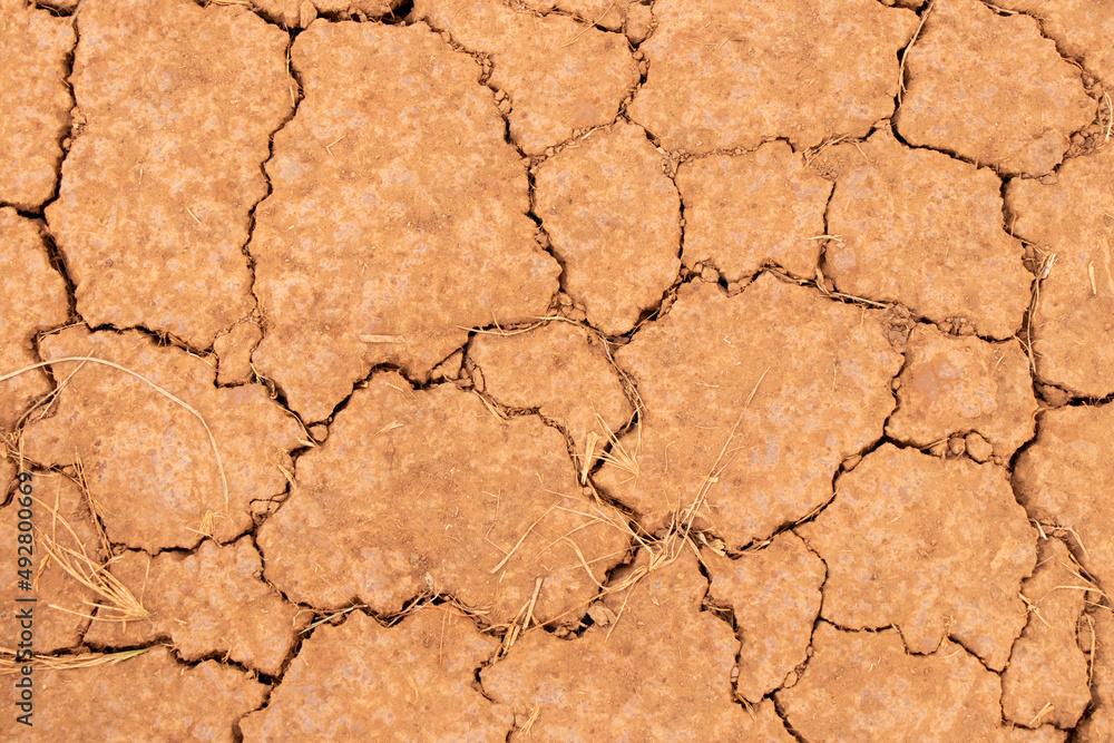 Cracked dry brown soil texture background, concept for global warming effect Cracked dry brown soil texture background, concept for global warming effect