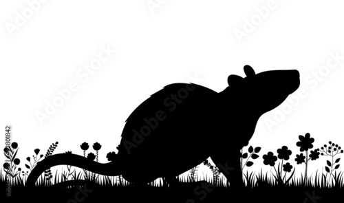 Fototapeta Naklejka Na Ścianę i Meble -  rat in the grass black silhouette isolated vector