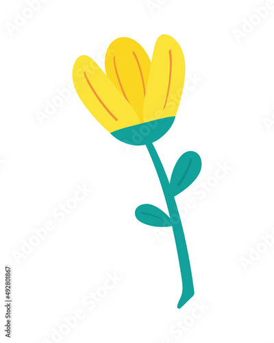 branch with cute yellow flower