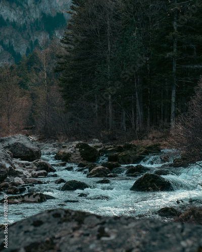 Rivière dans une forêt