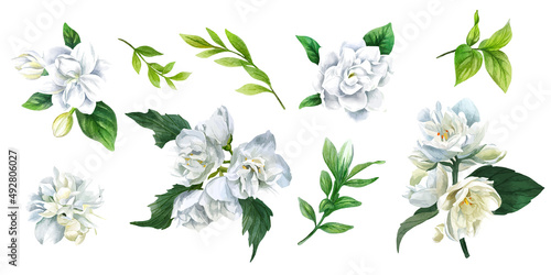 Obraz na plátně Lush flowers of white jasmine and camellia