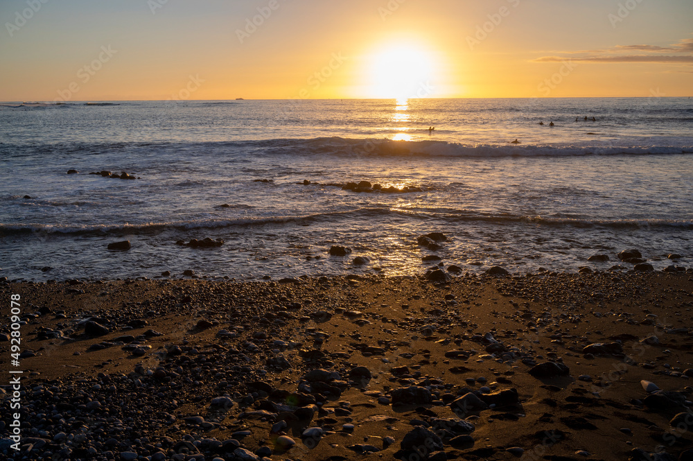 Group of surfers trains in cold water of Atlantic ocean on sunset, Playa de las Americas, South of Tenerife