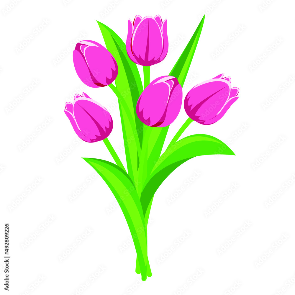 Bouquet of spring pink tulips isolated on white background. Vector illustration. Bouquet of spring pink tulips isolated on white background. Vector illustration.