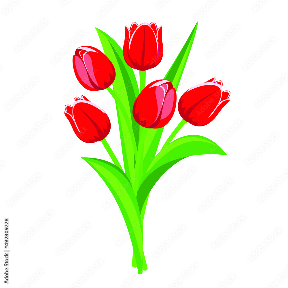 Bouquet of spring red tulips isolated on white background. Vector illustration. Bouquet of spring red tulips isolated on white background. Vector illustration.
