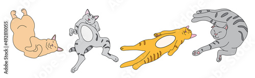 Fotografija Funny cartoon cats lying in different positions on a white background