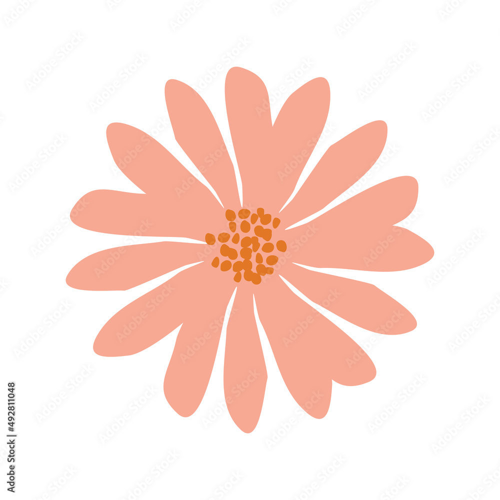 chamomile flower isolated on white background. floral decor element. chamomile flower isolated on white background. floral decor element.