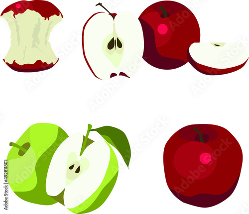 Red and Green Apples Vector Illustration Art