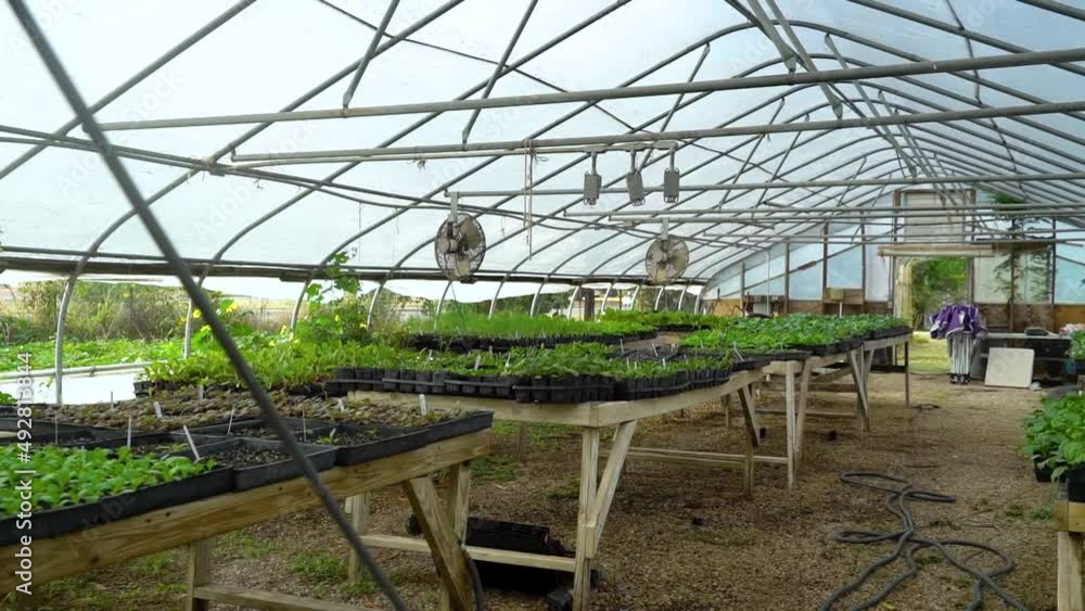A shaded area houses sprouting vegetable plants. A shaded area houses sprouting vegetable plants.