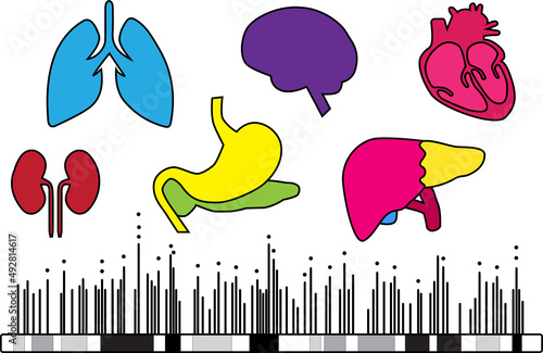 Genome-wide association study in humans