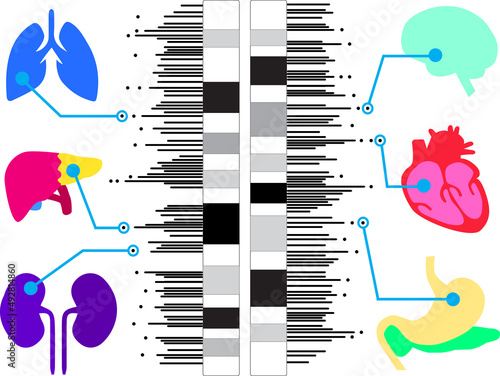 Genome-wide association study in humans