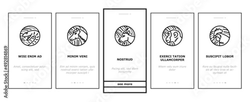 Chinese Horoscope And Accessory Onboarding Mobile App Page Screen Vector. Rabbit And Monkey, Goat And Snake, Dragon And Horse Chinese Horoscope Animal . Lantern And Plum Tree Branch Illustrations