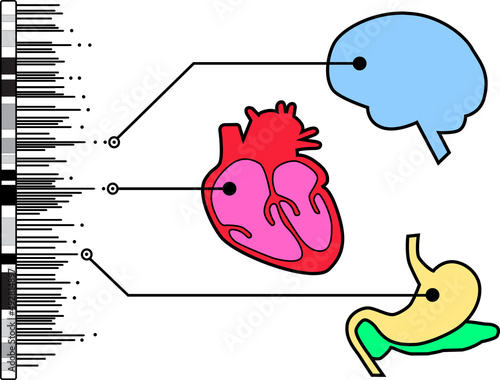 Genome-wide association study in humans