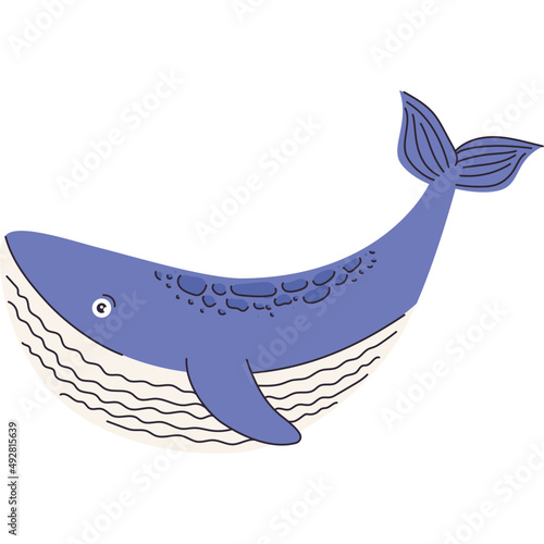 whale sealife animal