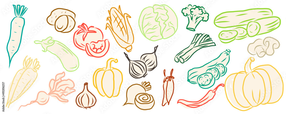 Obraz premium food, fruit, vegetable, vegetables, vector, icon, set, illustration, sketch, doodle, vintage, drawing, tomato, onion, pepper, food, fresh, vegetarian, fruit, vegetable, organic, healthy, green, tomato