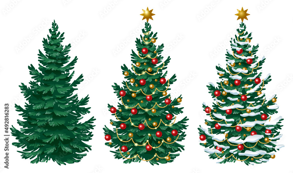 Set of Christmas trees. Christmas tree without decorations, with decorations and with snow. Vector new year image isolated on white background.