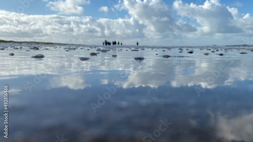 Low angle view of water on a beach © A. Emson