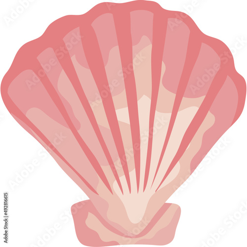 Photo sea shell pink